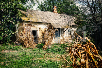 Old village house in forest environment