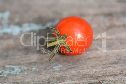 red cherry tomatoes on a old wood background