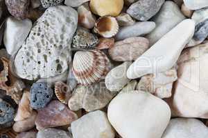 Sea Pebbles With Shells