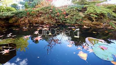 Sunny autumn day at country pond near Krasnodar, Russia