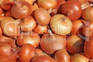 Big pile of onions