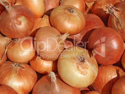 Heap of onions