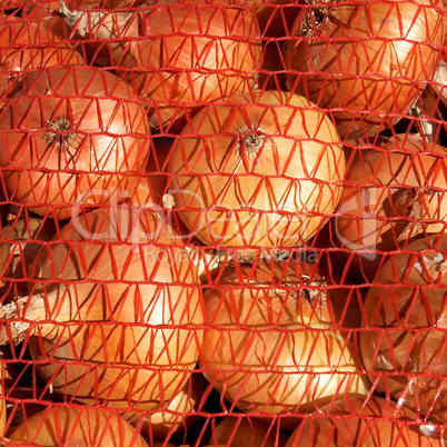 Onions in orange mesh