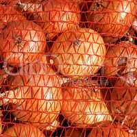 Onions in orange mesh