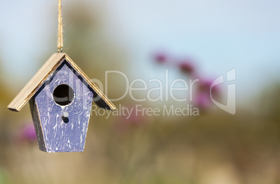 Bird House in Sunshine with Country Flowers