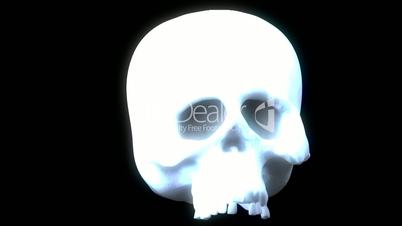 Ghost Hologram Skull in Motion