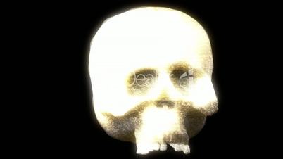 Hologram Skull in Motion