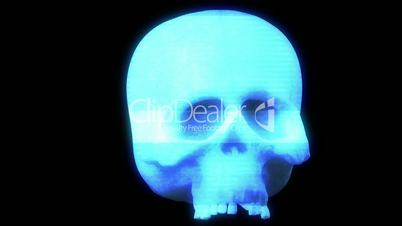 Hologram Skull in Motion