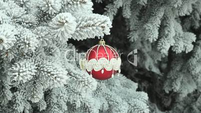 Red Christmas ball on Christmas tree