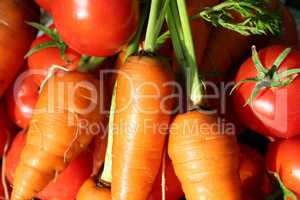 carrots and tomatoes