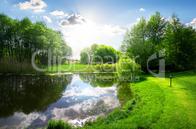 Green park near river