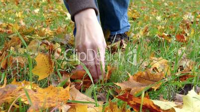 collecting autumn leaves