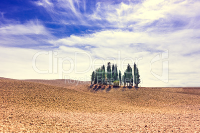 Fields in Tuscany