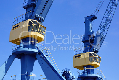 Large blue and yellow cranes in harbor