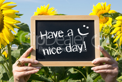 Have a nice day ! Have a nice day !