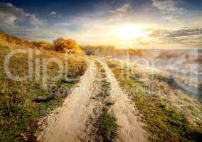 Country road in fog