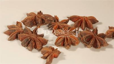 Closeup of anise flavour spices
