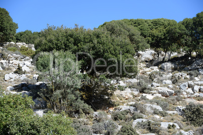 Landschaft auf Kreta