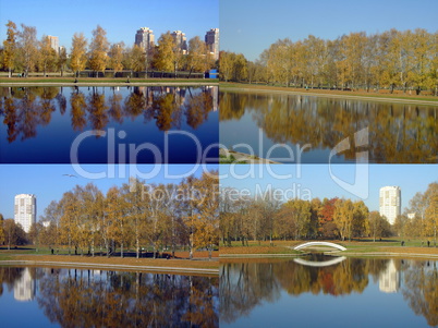 set of city park in gold fall