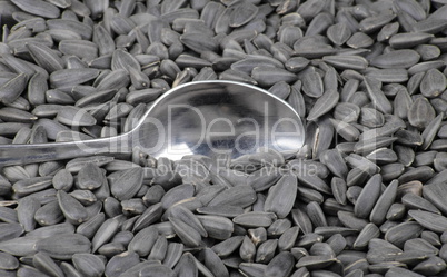 sunflower seeds background and teaspoon