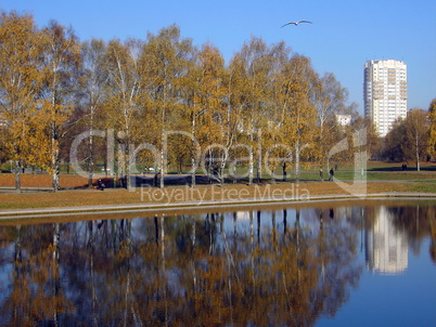 park in gold fall