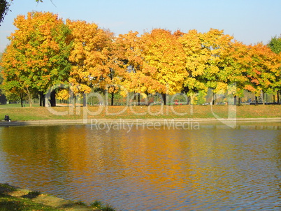 autumn in city park