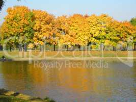 autumn in city park