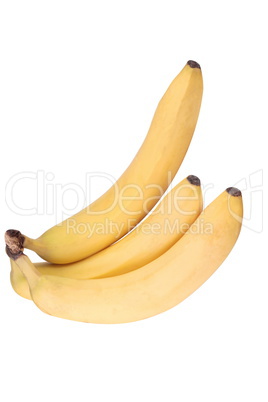 three yellow banana isolated