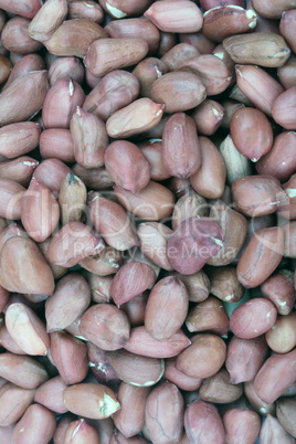 Arachis background