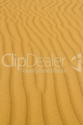 gold sand desert background