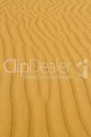 gold sand desert background