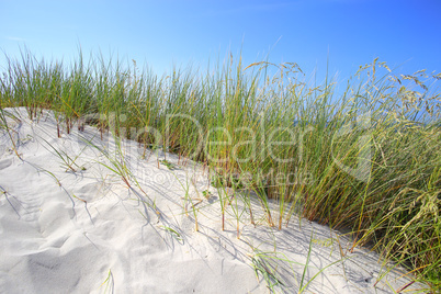 Sand dunes with grass and blue sky