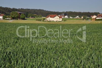 Feld bei Zandt