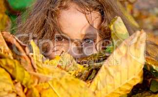 Little Girl Playing With Autumn Leaves