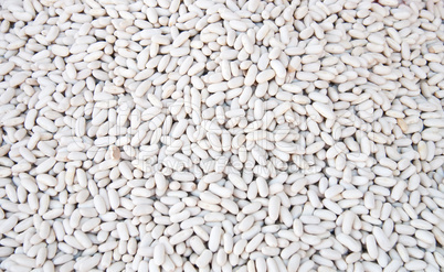 Organic Dried White Beans