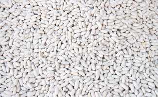 Organic Dried White Beans