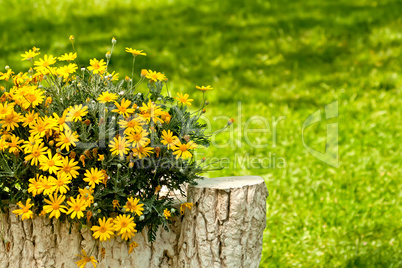 A Stone Tree Trunk Statue in a Yard Setting With Yellow Daisies