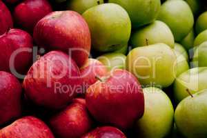 Fresh Organic Red and Green Apples
