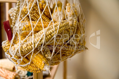 Hanged Dry Organic Corns In A Net
