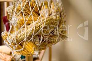 Hanged Dry Organic Corns In A Net
