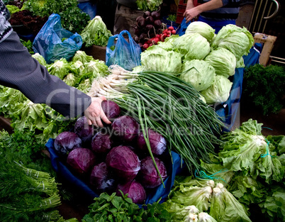 Hand Picking Fresh Organic Vegetables At A Street Market In Ista