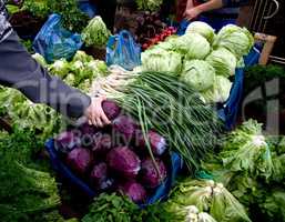 Hand Picking Fresh Organic Vegetables At A Street Market In Ista