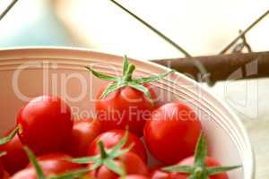 Freshly Picked Cherry Tomatoes