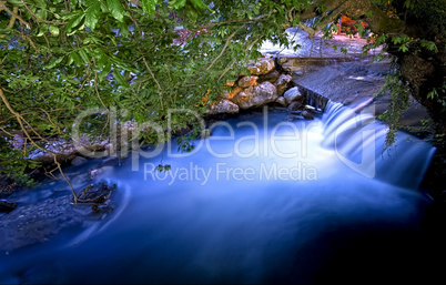 Flowing River Under Trees