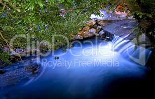 Flowing River Under Trees