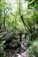 Schlucht zwischen Labin und Rabac, Kroatien