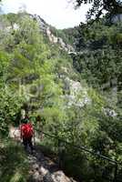 Schlucht zwischen Labin und Rabac, Kroatien