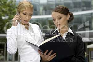 two businesswomen