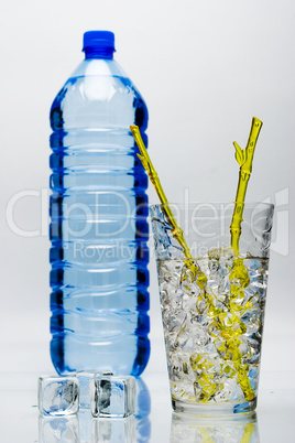 mineral water bottle