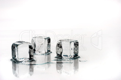 ice cubes isolated on white background